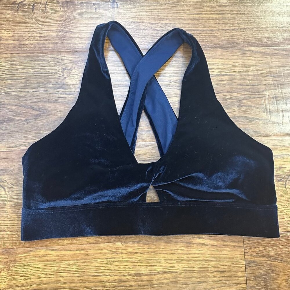 Fabletics velvet sports Bra